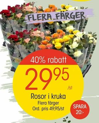 EKO Rosor i kruka erbjuda