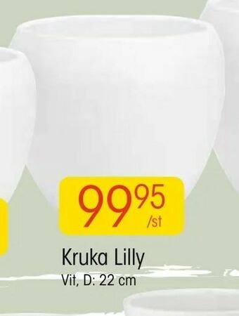 EKO Kruka Lilly erbjuda