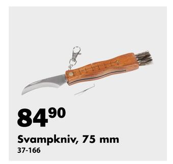 Svampkniv, 75 mm
