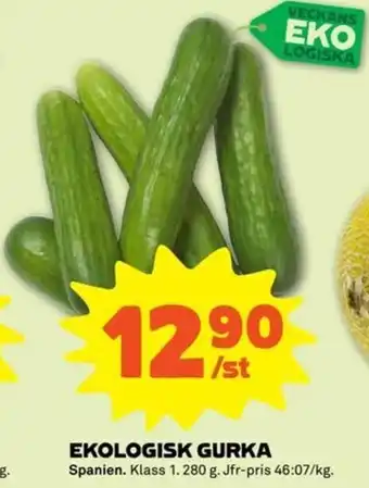 Stora Coop Ekologisk Gurka 280g erbjuda