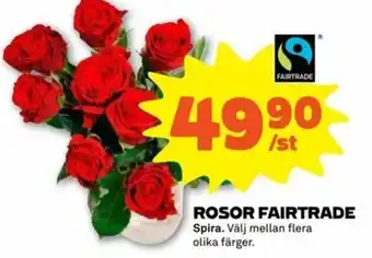 Stora Coop Spira Rosor Fairtrade erbjuda