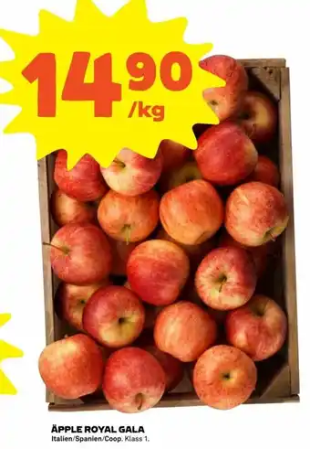 Äpple Roya Gala