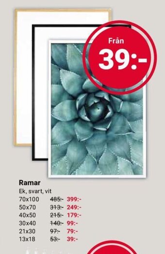 Ramar Ek, svart, vit