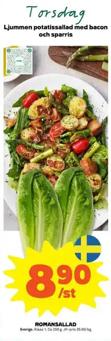 Romansallad 250g