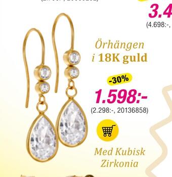 Guldfynd Örhängen i 18k guld erbjuda