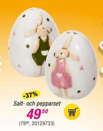 Guldfynd Salt- och pepparset erbjuda