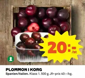 Coop Daglivs Plommon I Korg 500g erbjuda