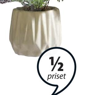 JYSK Alexander vas erbjuda