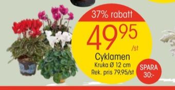 EKO Plantor erbjuda