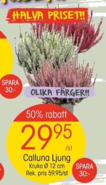 EKO Plantor erbjuda