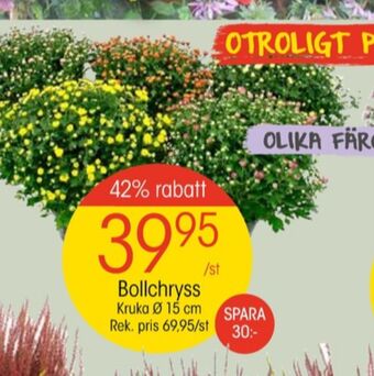 EKO Axe plantor erbjuda