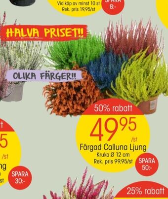 EKO Axe plantor erbjuda