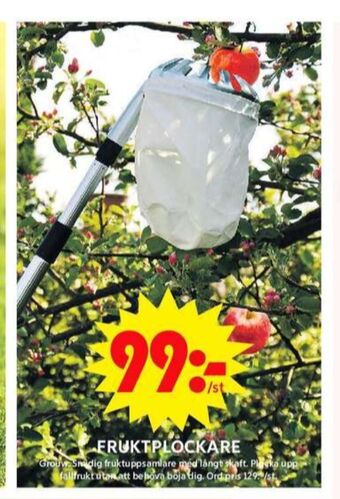 ICA Maxi Grouw fruktplockare erbjuda