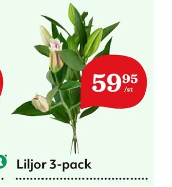 Hemköp Garant blommor erbjuda