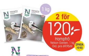 EKO Nelson garden hampfrön erbjuda