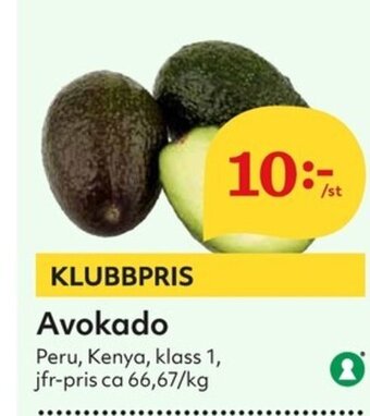 Avokado
