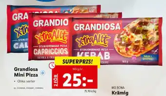 Lidl Grandios Mini Pizza 165g/st erbjuda