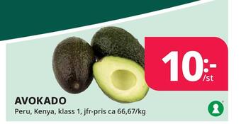 Tempo Avokado erbjuda