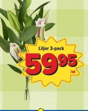 Östenssons Garant blommor erbjuda