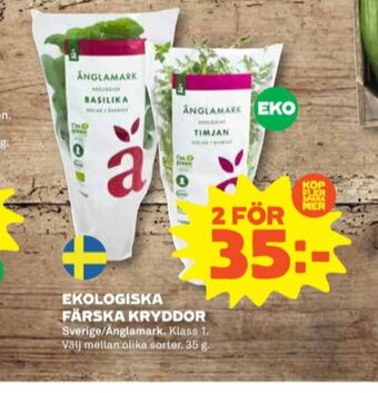 Stora Coop Änglamark kryddörter erbjuda
