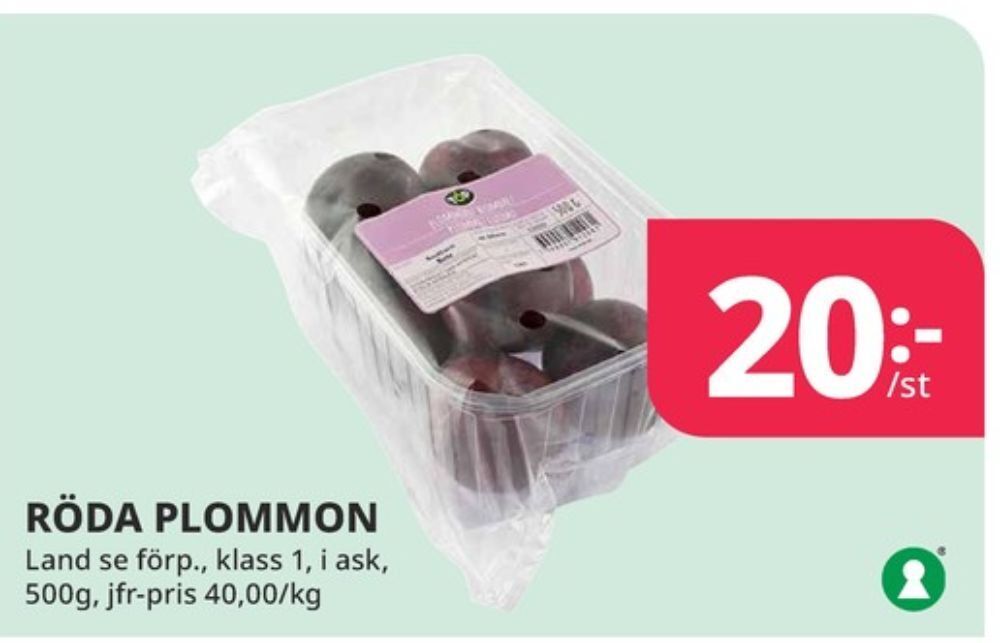 Tempo Top plommon erbjuda
