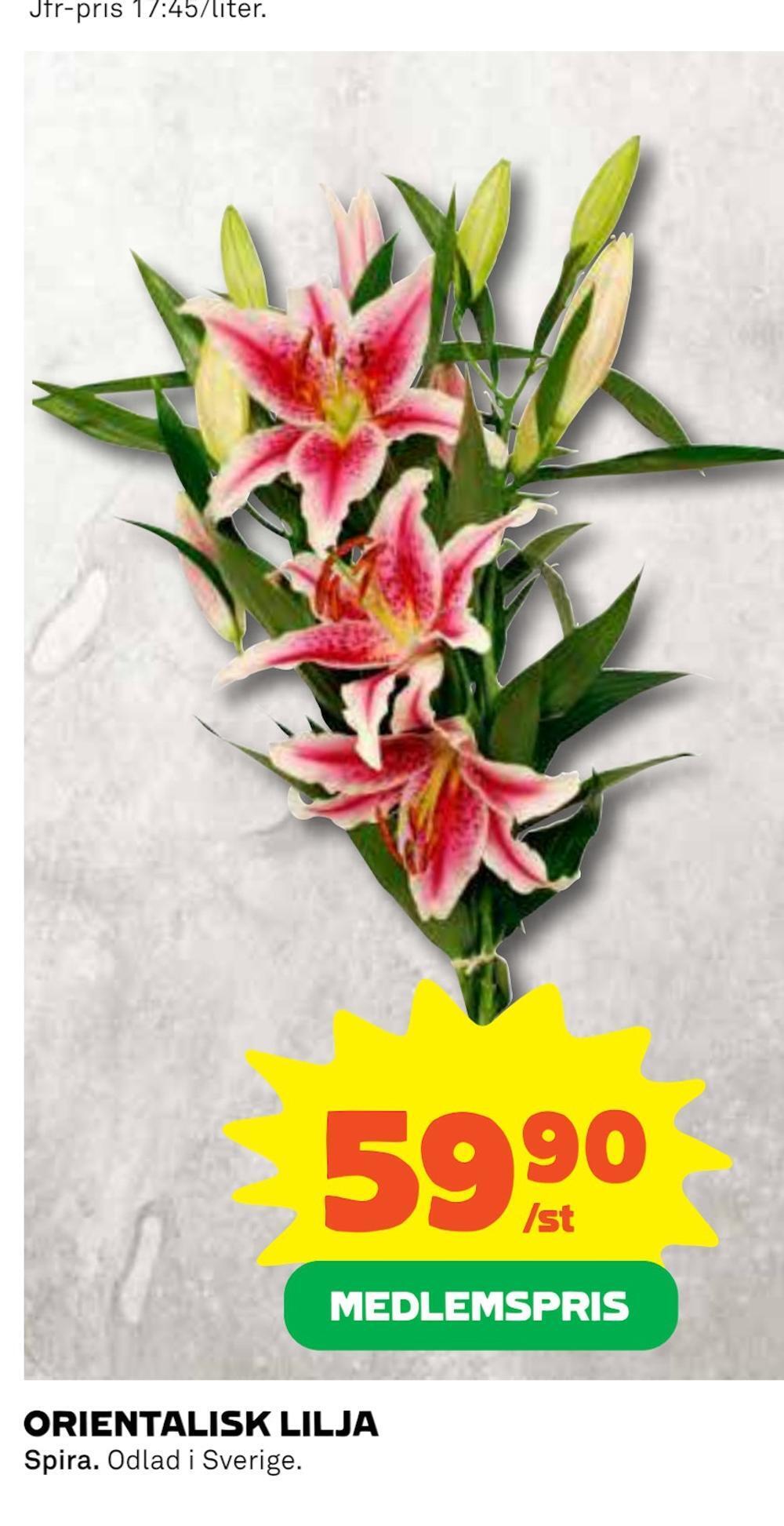 Coop Konsum Orientalisk lilja erbjuda