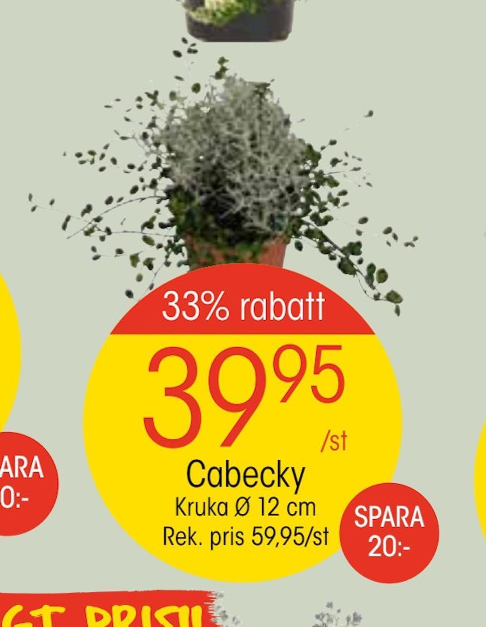 EKO Cabecky erbjuda