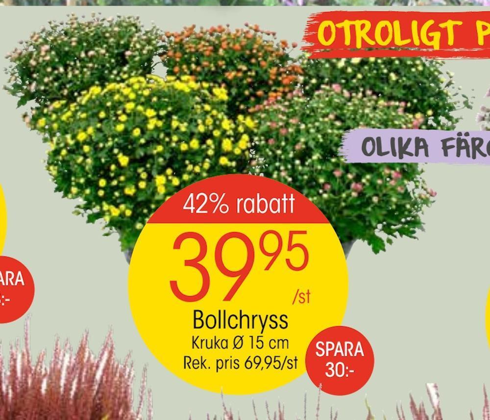 EKO Bollchryss erbjuda