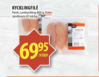Kycklingfilé