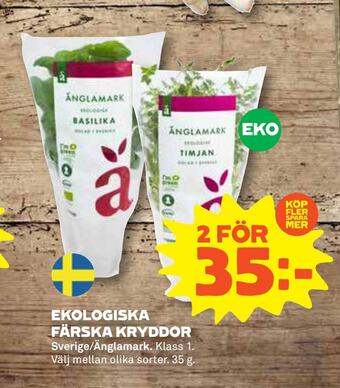Ekologiska färska kryddor