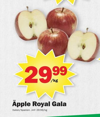 Pekås Äpple royal gala erbjuda