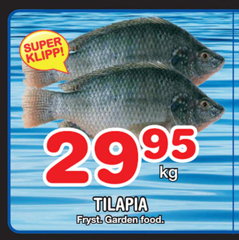 Nya Pulsen Tilapia erbjuda