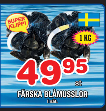Nya Pulsen Färska blåmusslor erbjuda