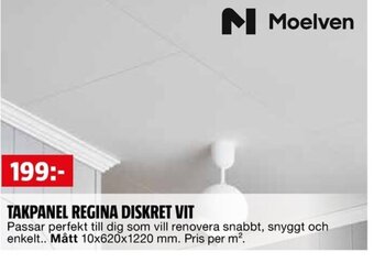 Bauhaus TAKPANEL REGINA DISKRET VIT erbjuda