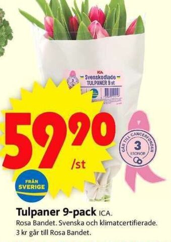 ICA Supermarket Tulpaner 9-pack erbjuda