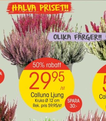EKO Finish plantor erbjuda