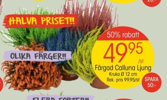 EKO Finish plantor erbjuda