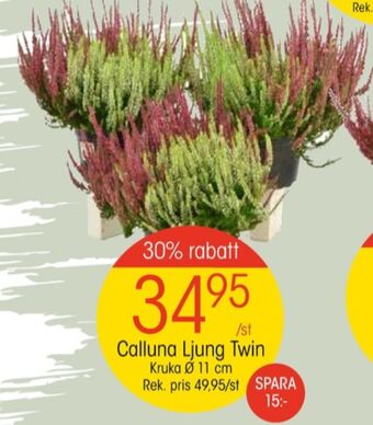 EKO Finish plantor erbjuda