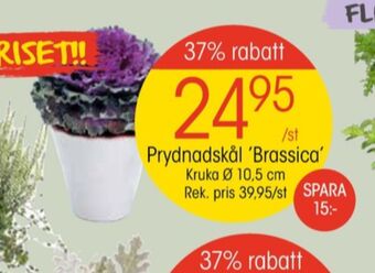 EKO Finish plantor erbjuda