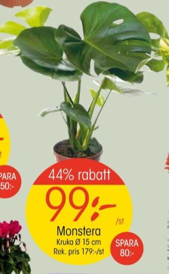 EKO Finish krukväxt erbjuda