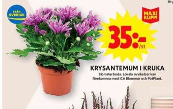 ICA Maxi Blomsterboda plantor erbjuda