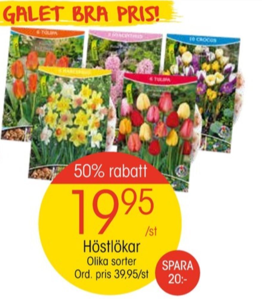 EKO Nelson garden blomsterlökar erbjuda