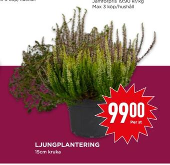 Willys Hemma Garant plantor erbjuda