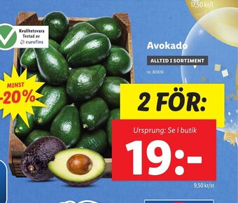 Lidl Avokado erbjuda