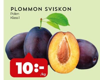 PLOMMON SVISKON