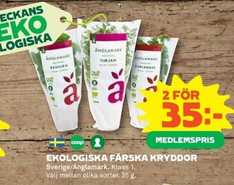 Coop EKOLOGISKA FÄRSKA KRYDDOR erbjuda