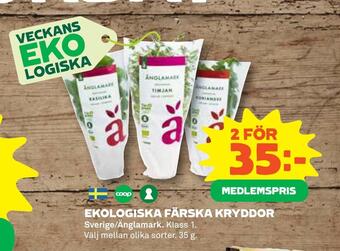 Coop Konsum Ekologiska färska kryddor erbjuda