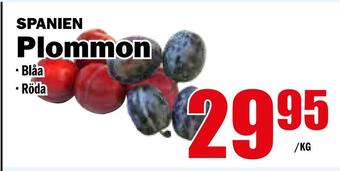 Matdax Plommon erbjuda