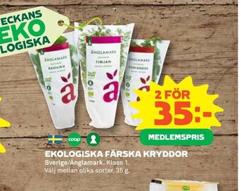 Coop Daglivs Ekologiska färska kryddor erbjuda