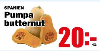 Pumpa butternut